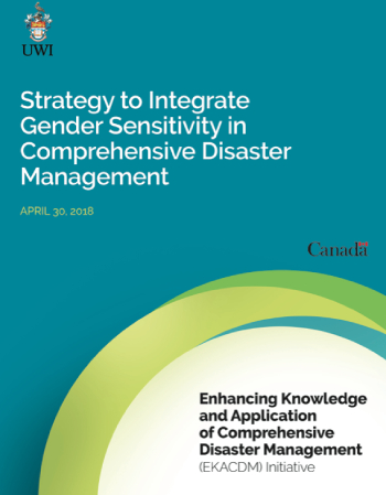 Strategy to Integrate Gender Sensivity in CDM